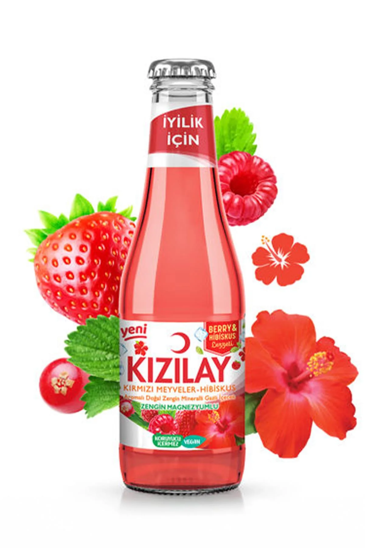 Kızılay Hibiskus Kırmızı Meyveler 200 ml - 24 Şişe