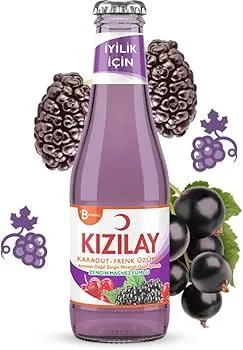 Kızılay Karadut Frenk Üzümü 200 ml - 24 Şişe
